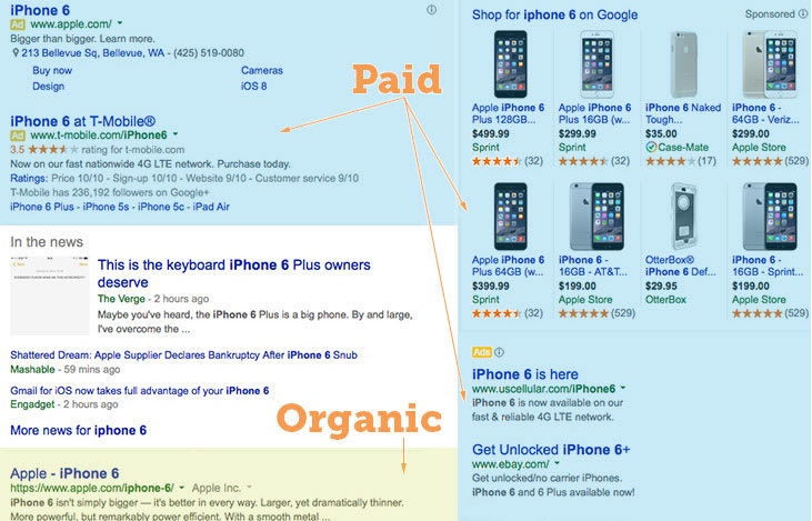 Paid and Organic Search Results